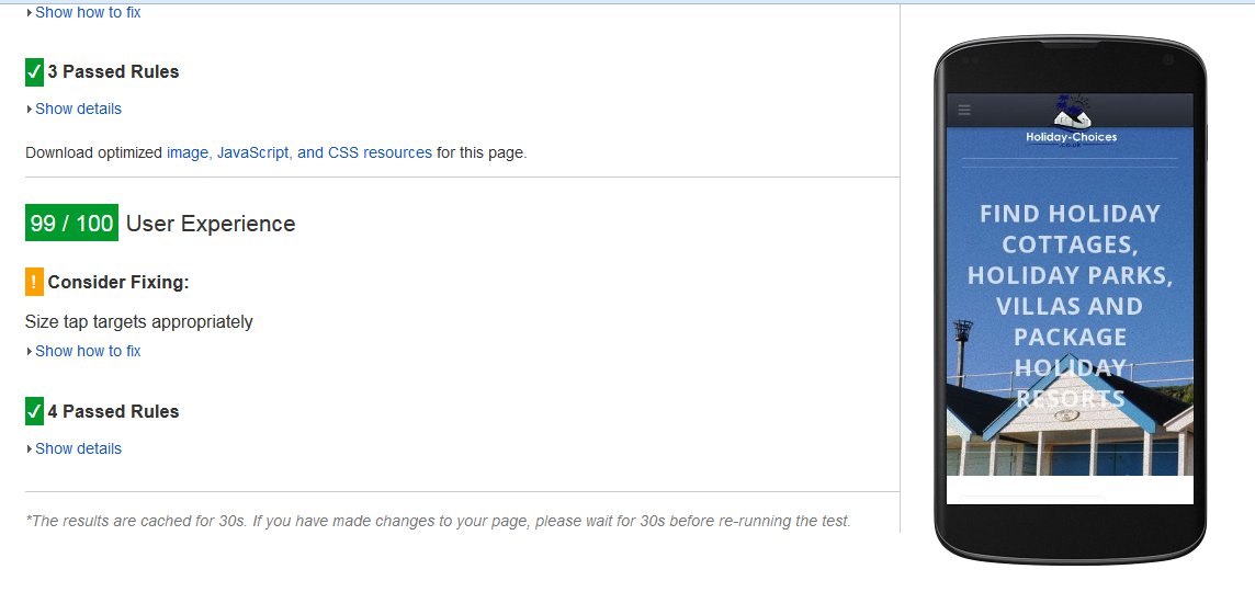 Google PageSpeed for Holiday-Choices.co.uk user experience - 99%