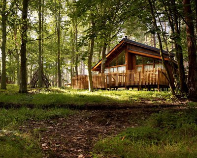 Thorpe Lodges in Thetford Forest